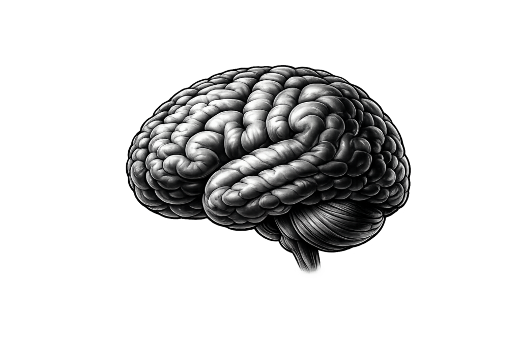 brain-music-science